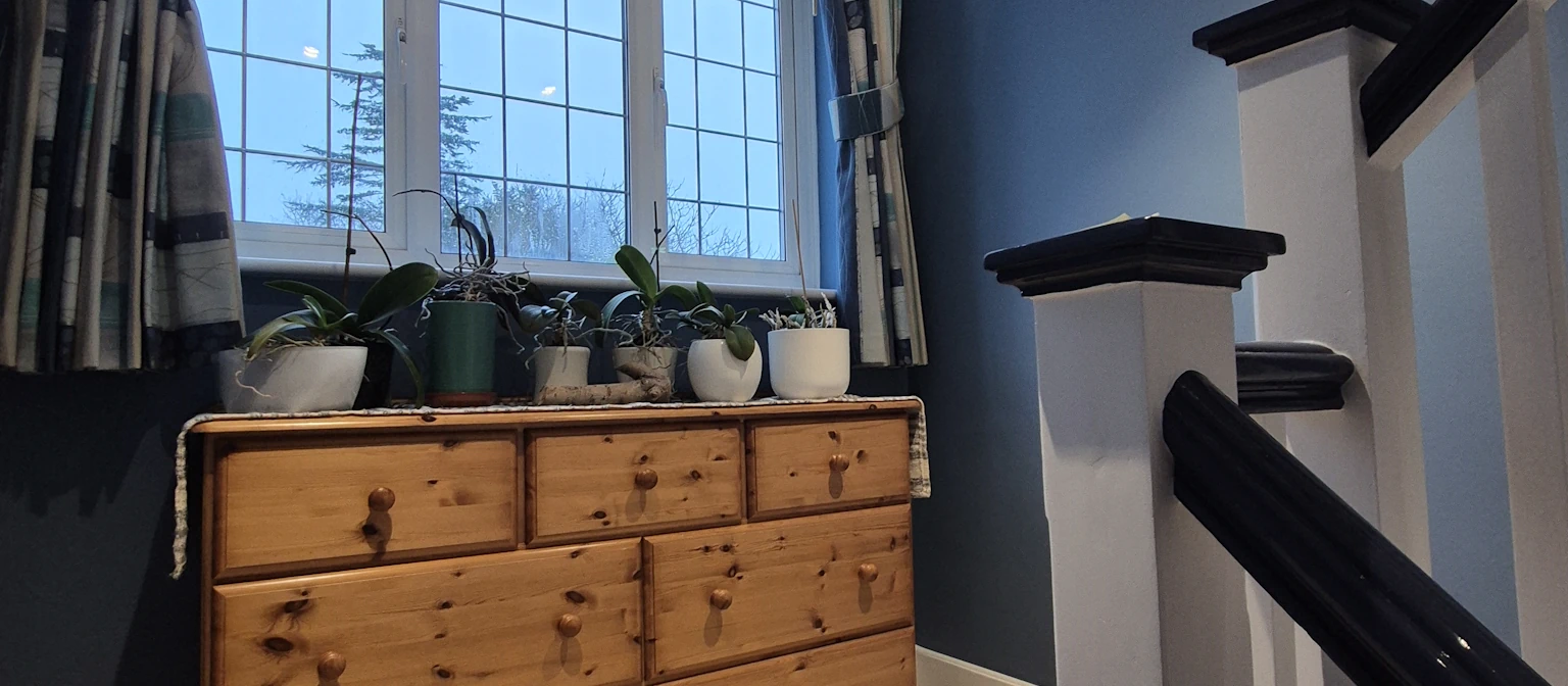 Painter and Decorator Cobham