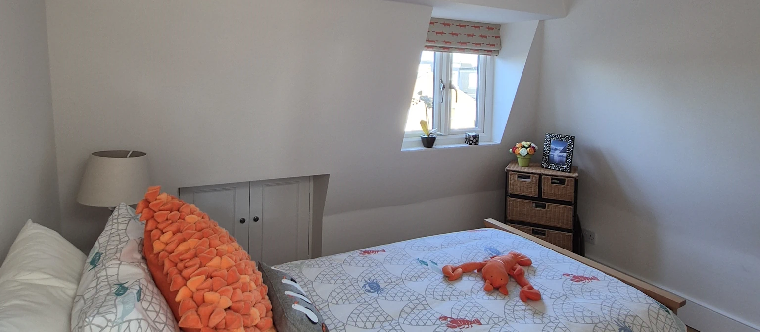Painter and Decorator Morden