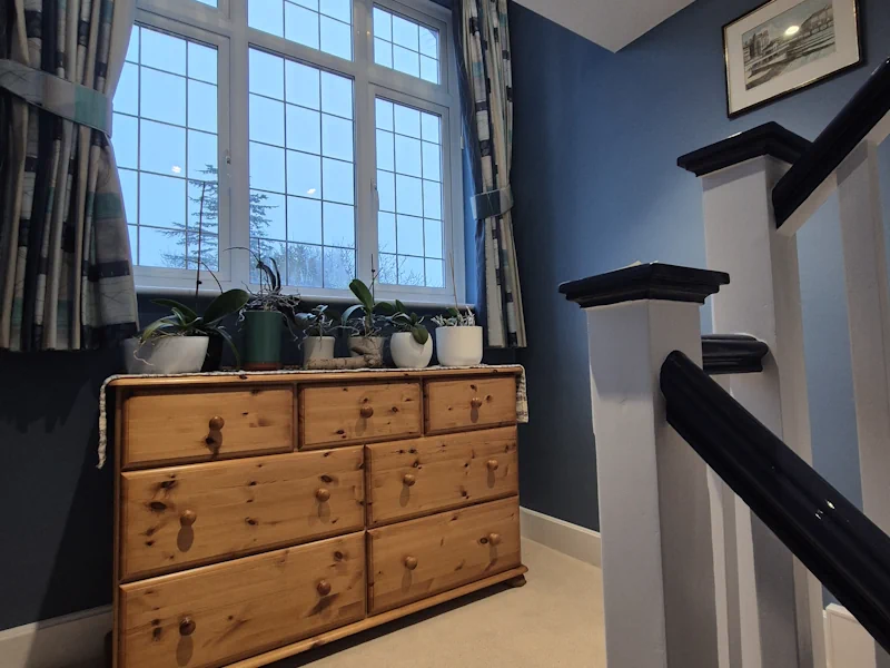 Interior Painter Decorator in Belmont