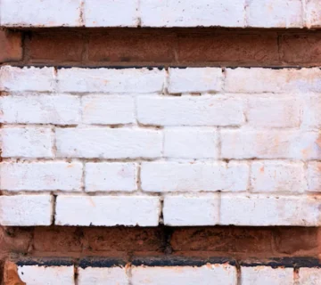 Can you paint over damp render or brickwork